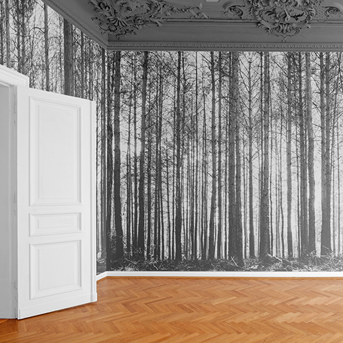 Indoor Décor